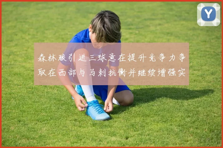 森林狼引进三球意在提升竞争力争取在西部与马刺抗衡并继续增强实力